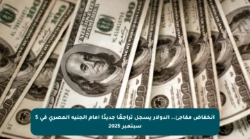 انخفاض مفاجئ.. الدولار يسجل تراجعًا جديدًا أمام الجنيه المصري في 5 سبتمبر 2025